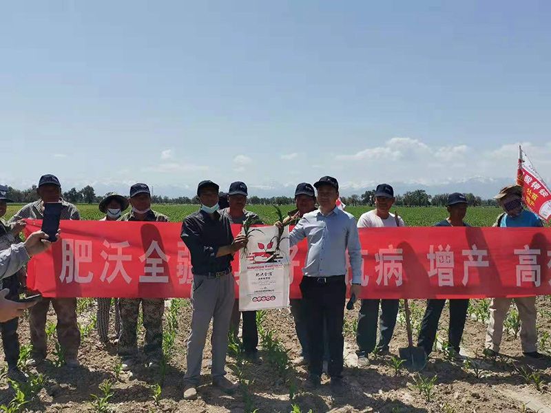 实验基地